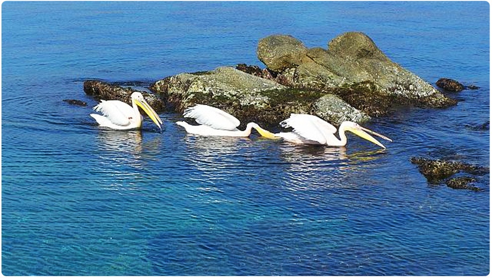 MYKONOS photos, Mykonos images, MIKONOS