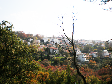 ΠΗΛΙΟ ΦΩΤΟΓΡΑΦΙΕΣ ΠΗΛΙΟ