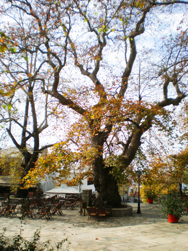 ΠΗΛΙΟ ΦΩΤΟΓΡΑΦΙΕΣ ΠΗΛΙΟ