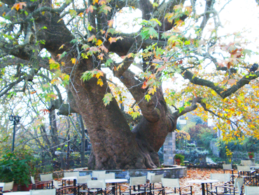 ΠΗΛΙΟ ΦΩΤΟΓΡΑΦΙΕΣ ΠΗΛΙΟ